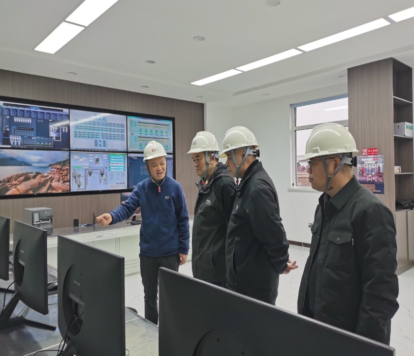 金隆銅業(yè)公司領(lǐng)導(dǎo)到我公司考察